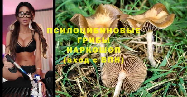 прущие грибы Волосово